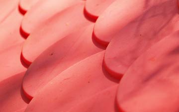 Sydenham Damerel plastic roof costs