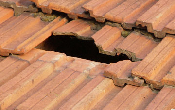 roof repair Sydenham Damerel, Devon