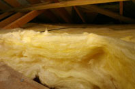Sydenham Damerel pitch roof insulation